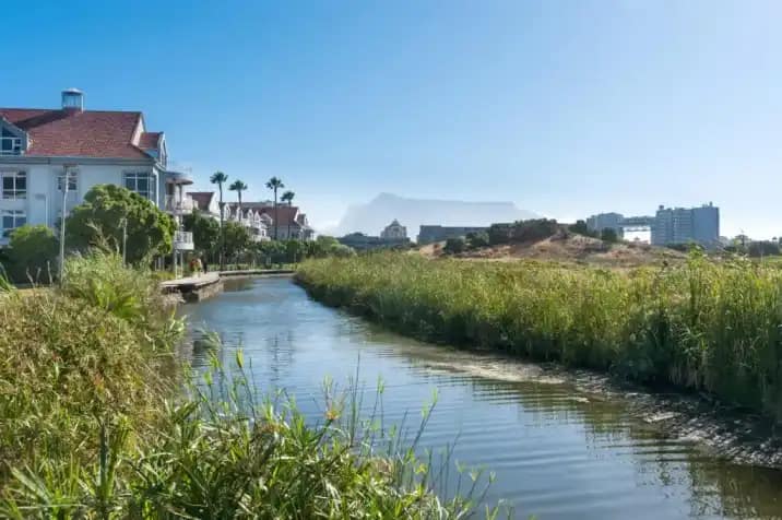Discover Century City: Cape Town's Premier Mixed-use Development 6 Century City community