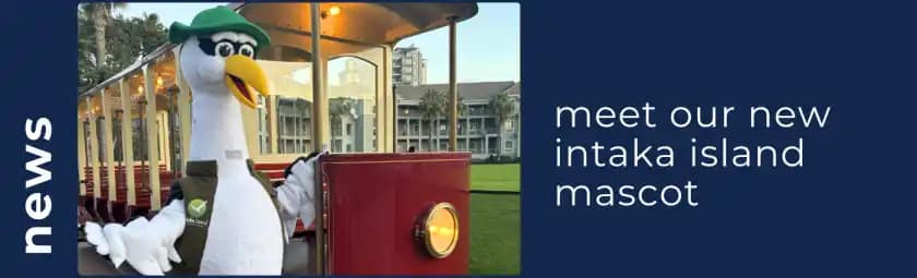 Discover Century City: Cape Town's Premier Mixed-use Development 17 top shopping